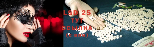 мдпв Ладушкин