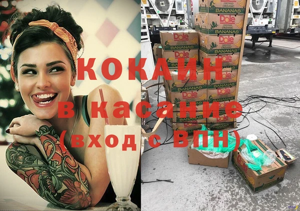 мдпв Ладушкин
