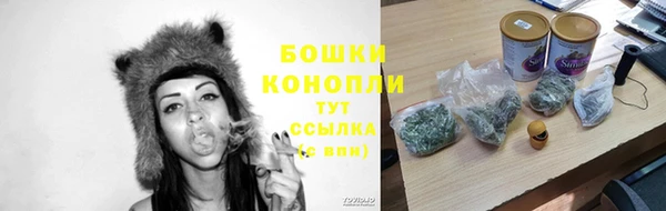 мдпв Ладушкин