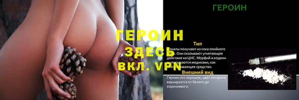 мдпв Ладушкин