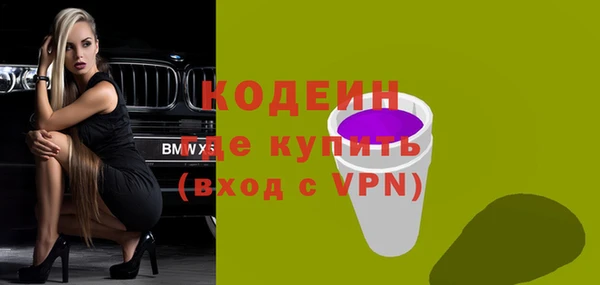 мдпв Ладушкин