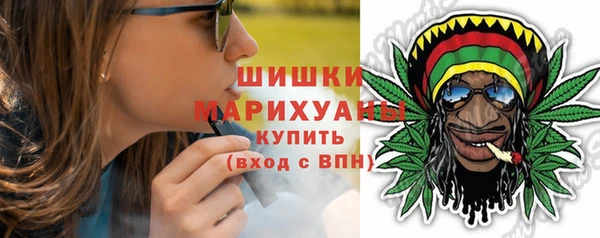 мдпв Ладушкин