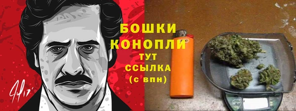 мдпв Ладушкин