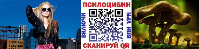 omg маркетплейс Дыгулыбгей Галлюциногенные грибы GOLDEN TEACHER цена наркотик