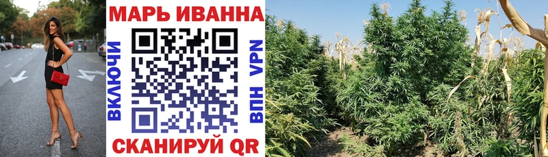 наркота  Дыгулыбгей  МАРИХУАНА индика 